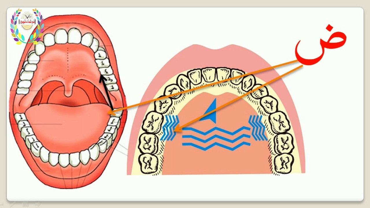 Noeani Qaida Huroof Tahejji Lesson 2 Suad to ya Learn to read Arabic alphabet Part 1 with details and explanation