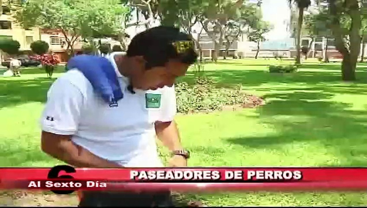 Paseadores de perros: un oficio que gana terreno en Lima