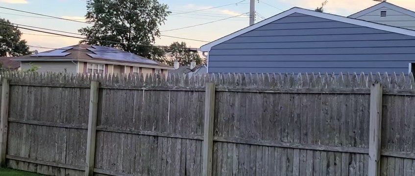 Baby Bird visits its human rescuer every day! Today's visit got cut short of course...