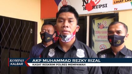 King Kong, Orang Utan yang Disita dari Warga telah Dipelihara selama 3 Tahun