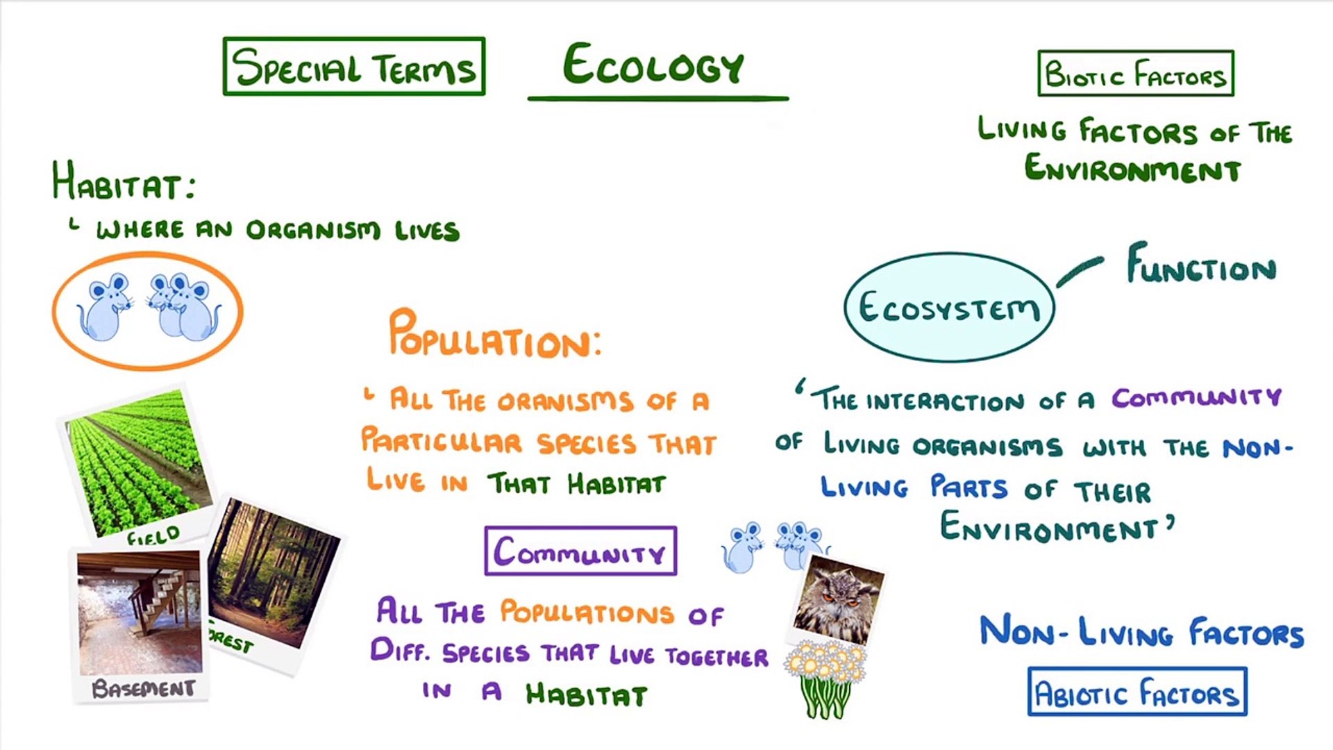 ⁣Biology - Interdependence - Community and Competition