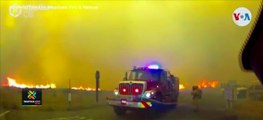 tn7-batallones-de-bomberos-luchan-por-controlar-incendios-forestales-en-California-250820