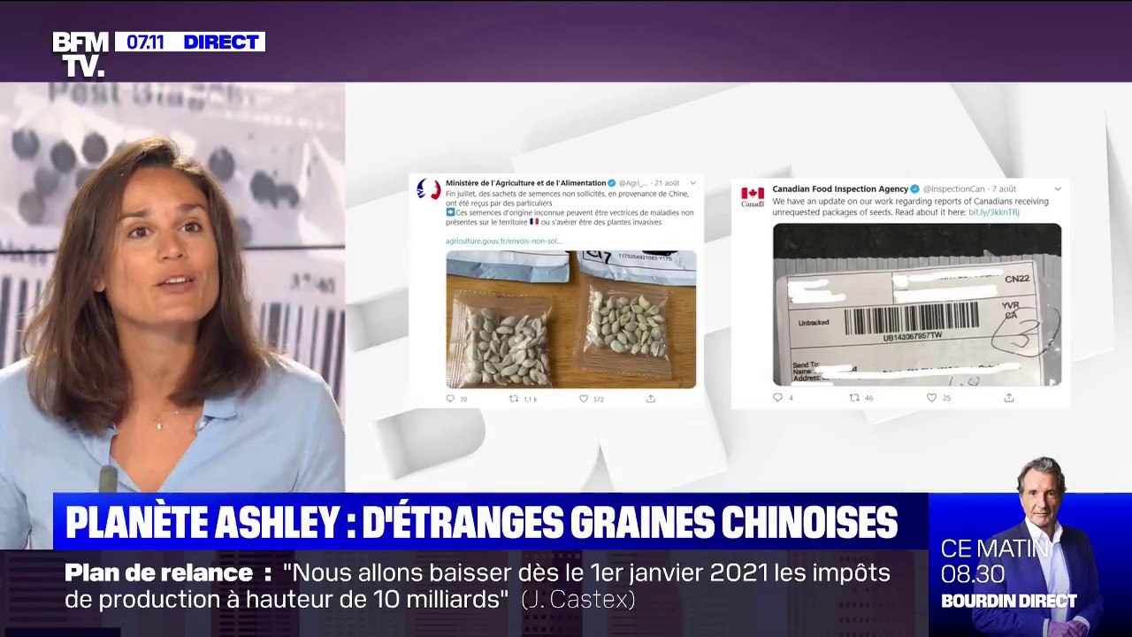 Planète Ashley - Le mystère des graines de Chine envoyées à de nombreux particuliers