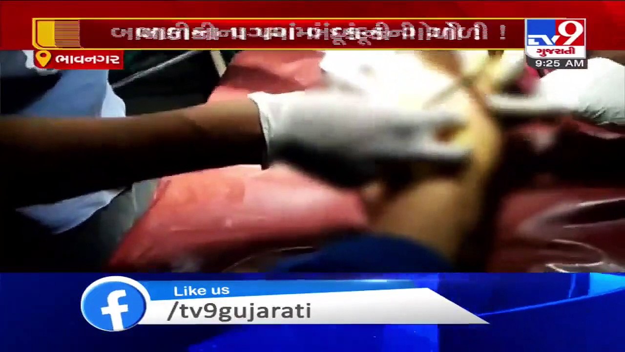Porbandar- Doctors found bullet from girl's leg who went for an operation after dog bites her