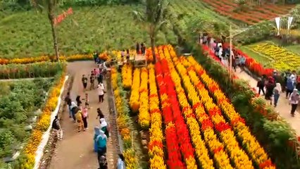 Banyuwangi Agro Expo 2019 (2nd version)