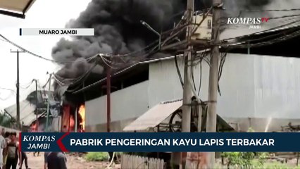 Pabrik Pengeringan Kayu Lapis Terbakar