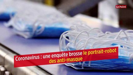 Coronavirus : une enquête brosse le portrait-robot des anti-masque