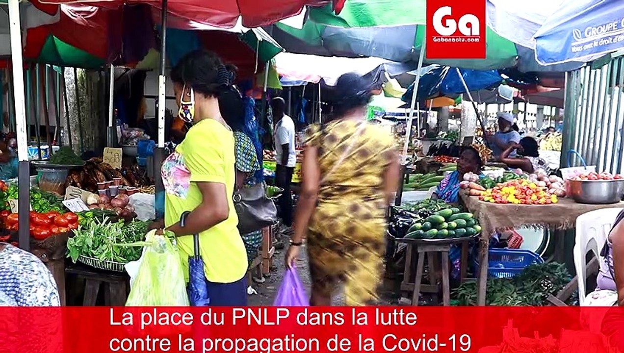 Lutte contre la covid-19 quelle implication du programme palu?