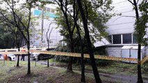 경기지역 태풍 '바비'로 1명 부상·68건 안전조치 / YTN