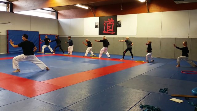 Karaté Santé - Rétropective Kihon (posture, techniques bras/jambes)