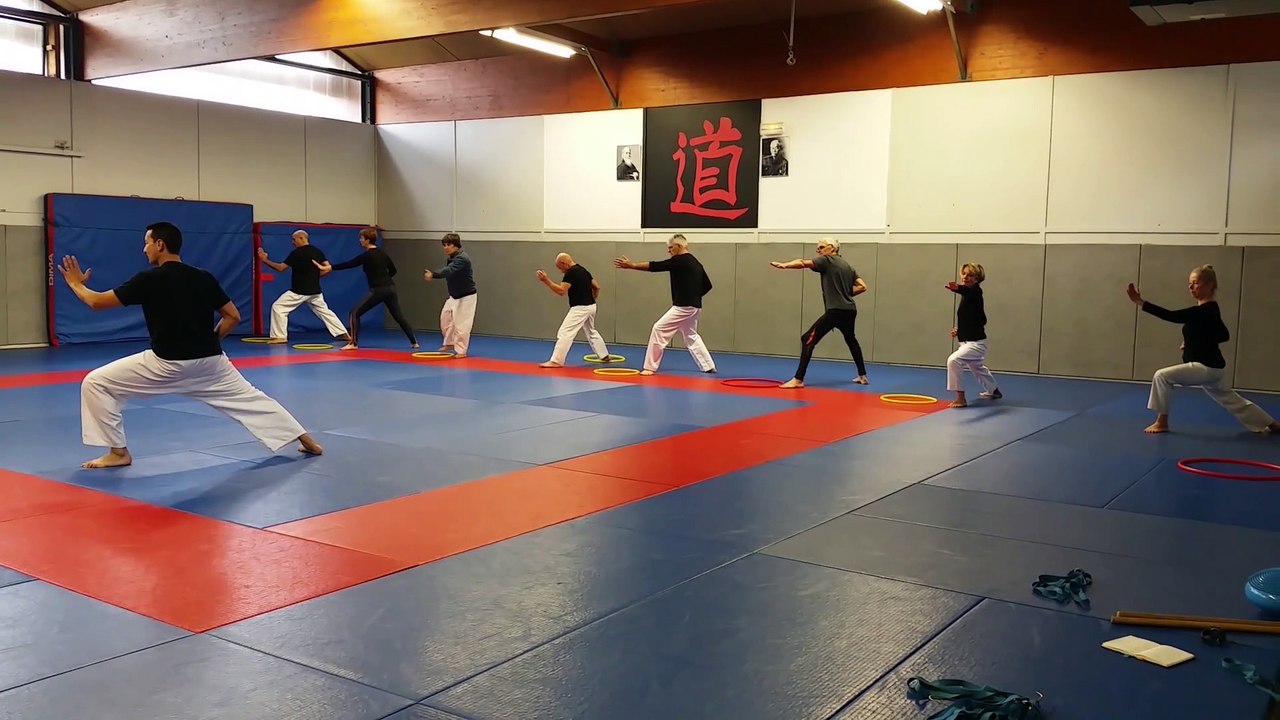 Karaté Santé - Rétrospective Kihon (posture, techniques bras/jambes)