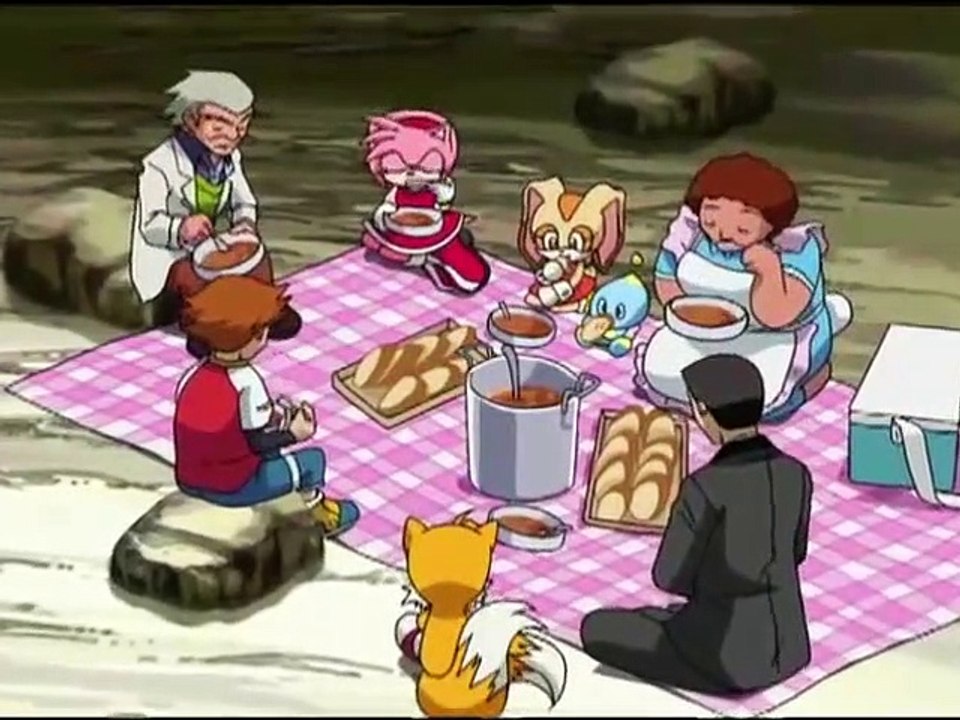How To Catch A Hedgehog Sonic X – GSJVO