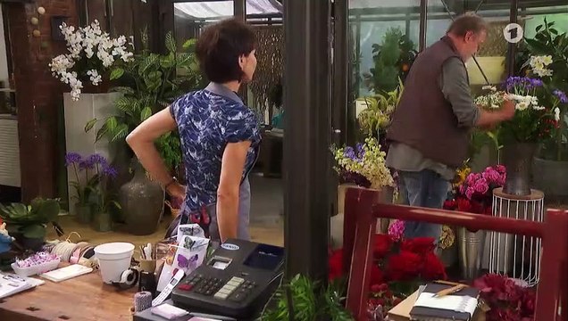 Rote Rosen Folge 3169 Doppelte Charme-Offensive