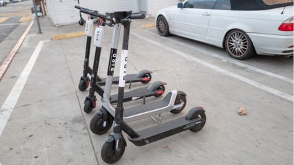 Bird Offers Teachers Free Rides