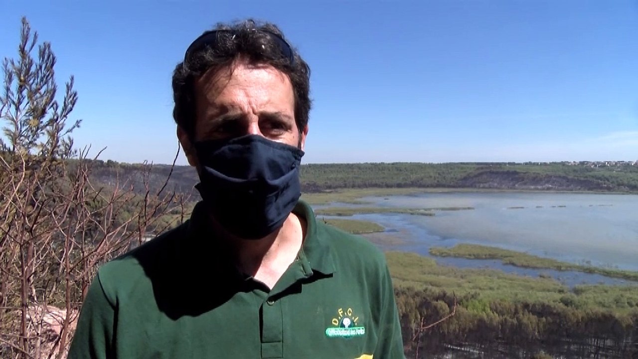 Forêt de Castillon: le "crève cœur" des agents forestiers de l'ONF