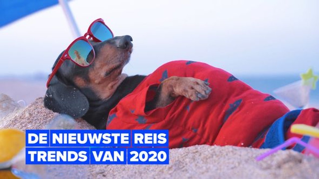 Hoe reizen mensen tijdens een pandemie?