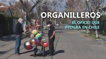 Organilleros: el oficio que peligra en Chile