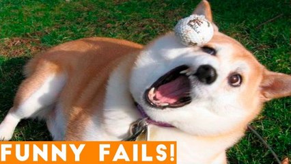 ULTIMATE FUNNIEST PET FAILS 2018 _ Funny Pet Videos