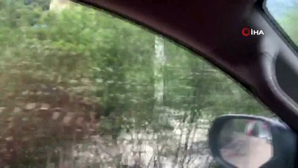 Giresun'da sel felaketini anlatan en ilginç kare