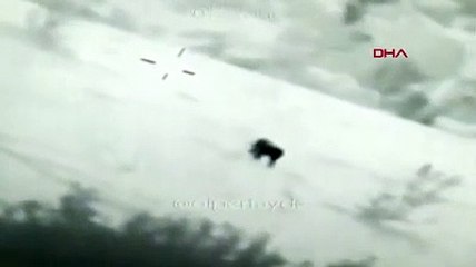 Nesli tamamen yok olduğu düşünülüyordu; Güneydoğu Anadolu'da görüntülendi