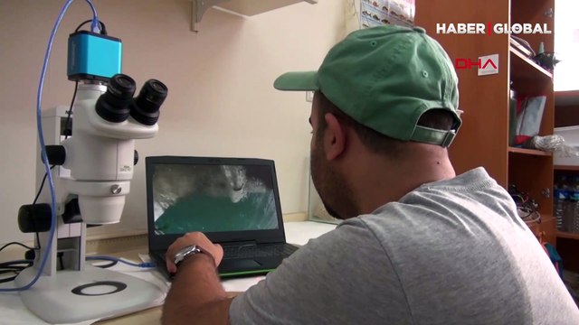 Van Gölü'ndeki kirliliğe karşı proje başlatıldı