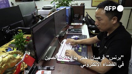 "برنس" قرصان أحمر يدافع عن الصين في الفضاء الإلكتروني