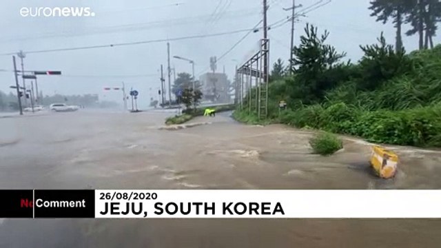 O τυφώνας Μπάβι πλήττει την Χερσόνησο της Κορέας