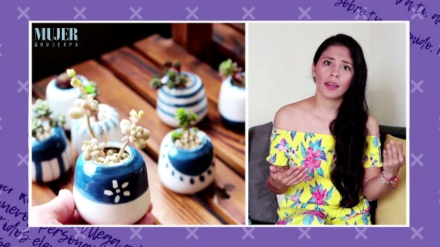 Jardinería | Importancia de los potes para nuestras plantas - Nex Panamá