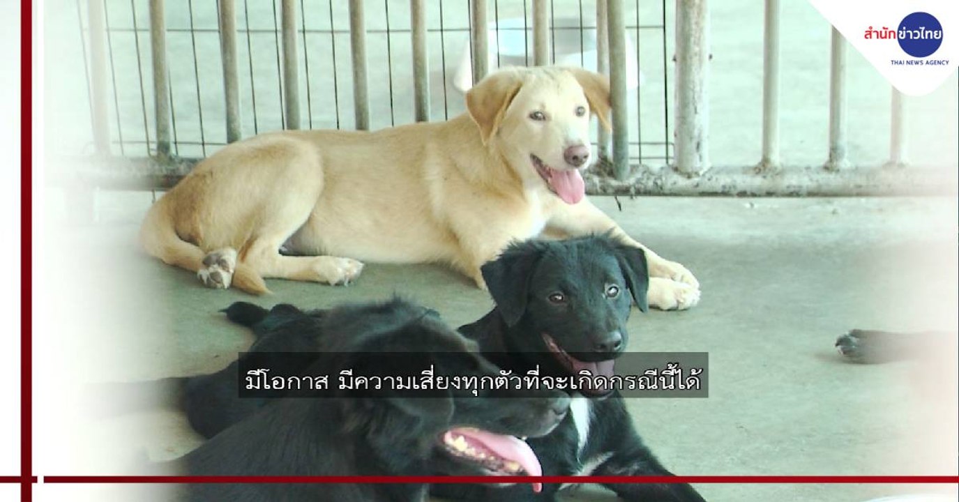 ข่าวค่ำ ช่วงที่ 5 วันพฤหัสบดีที่ 27 สิงหาคม 2563