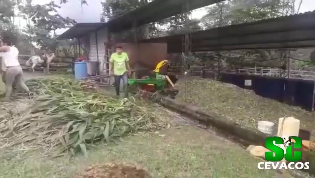PICADORA ENSILADORA