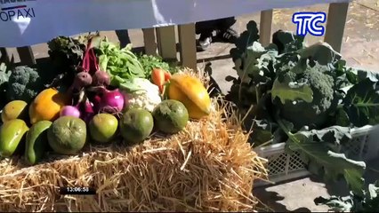 Vicepresidenta de la República, María Alejandra Muñoz, expresó su compromiso de luchar contra el hambre y  atender las necesidades  agrarias