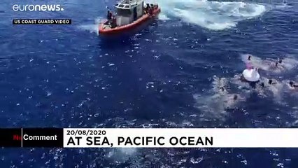 Un requin vient interrompre leur baignade en plein océan Pacifique