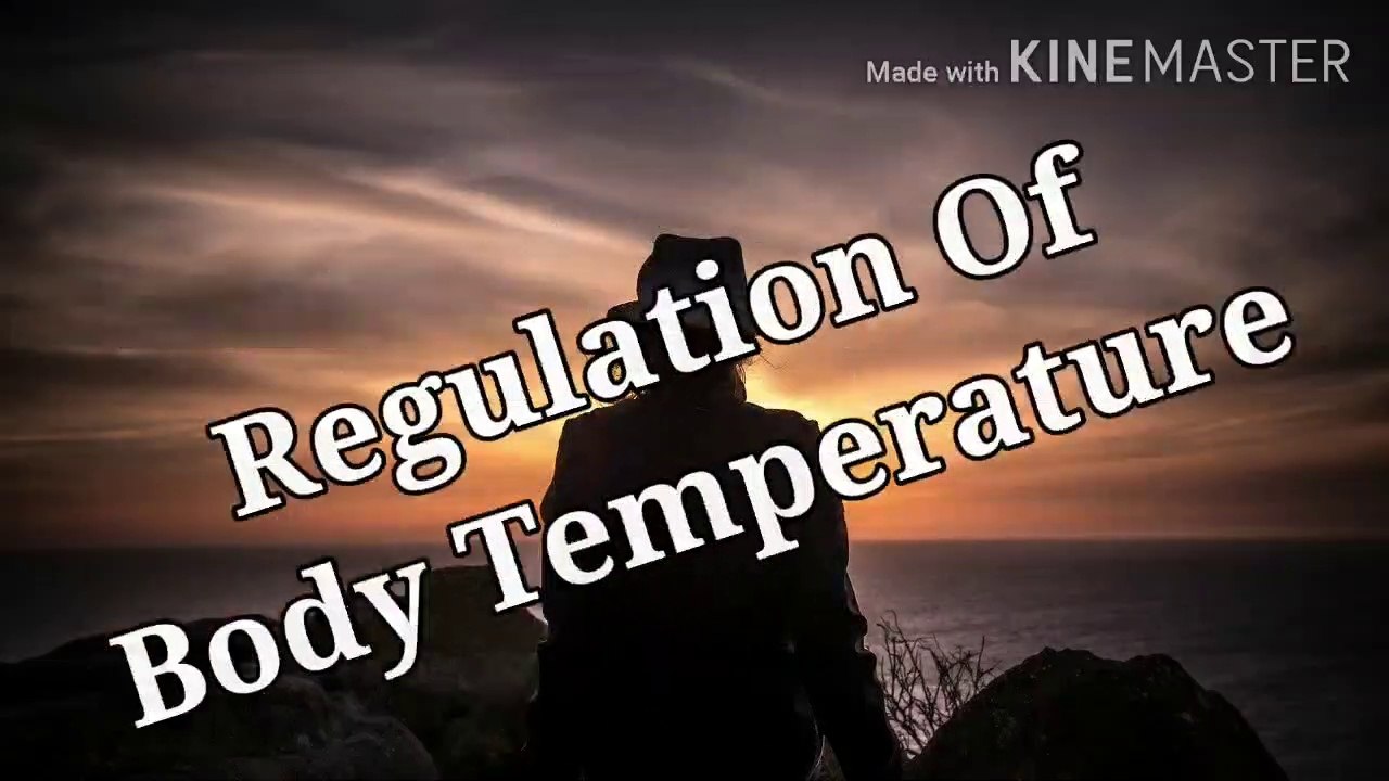 Regulation of normal body Temperature Explained in Hindi and English.