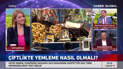 Çiftlik balığı nasıl yetiştiriliyor?