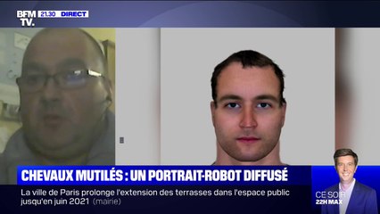 "Il était déterminé à me tuer": Le témoignage de Nicolas Demajean a permis aux enquêteurs d'établir le portrait-robot d'un homme soupçonné de mutiler des chevaux