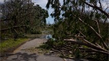 Hurricane Laura Carves Destructive Path, Leaves 4 Dead