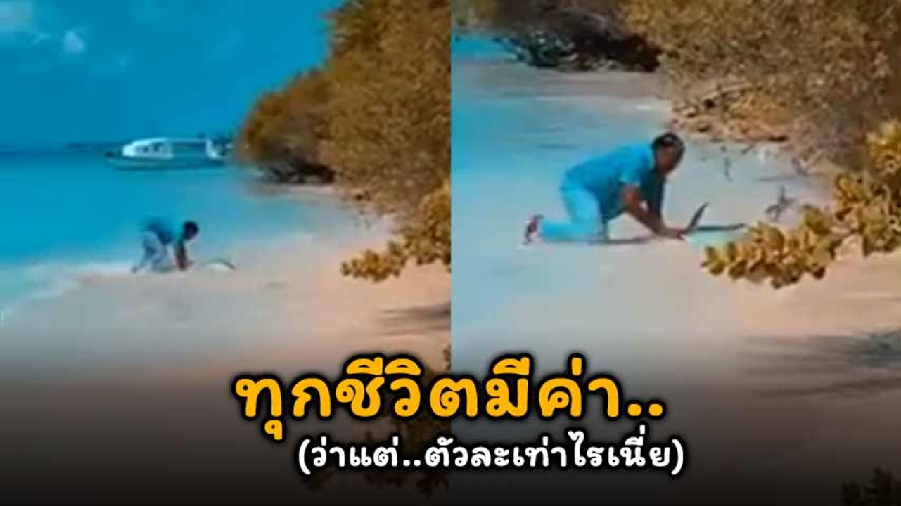 ชาวเน็ตปลื้ม !! หนุ่มใจบุญ วิ่งปรี่เข้าช่วยปลาทูน่าจากการจมน้ำ ลั่น..ทุกชีวิตมีค่า