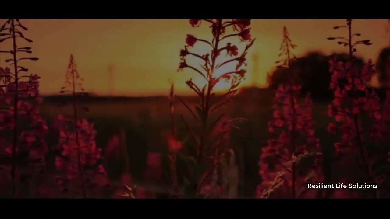 Epic Motivational Video 2019 - Go Hunt Your Dream - Inspirational Speeches