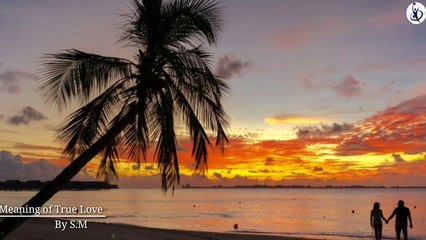 What is True Love |What is Love | Pyar Kya Hai | What is the Meaning of Love | Willingness Power