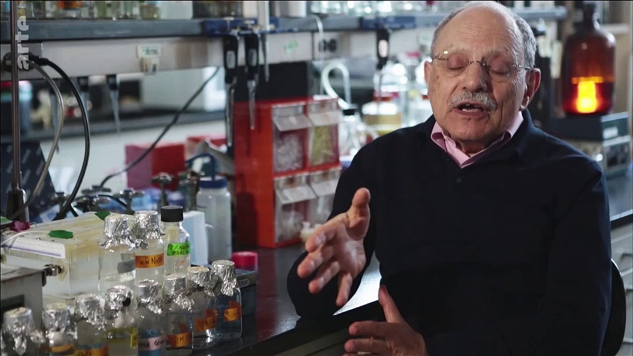 Ventre, Notre Deuxieme Cerveau (Le)_VOF-STF_1280x720_2486k