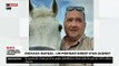Massacre de chevaux dans plusieurs régions de France - Voici le premier portrait robot d'un suspect qui s'est attaqué aux animaux et à un propriétaire