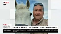 Massacre de chevaux dans plusieurs régions de France - Voici le premier portrait robot d'un suspect qui s'est attaqué aux animaux et à un propriétaire