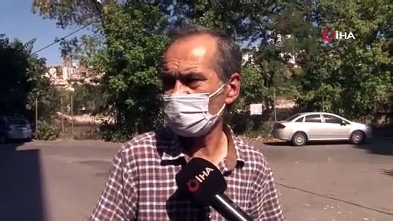 Emekli polis memuru beslediği kedilerin zehirlenmesine isyan etti