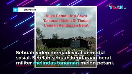 Viral Kebun Petani Urut Sewu Kebumen Dilindas Truk TNI