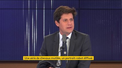 "On ne sait pas si c'est une communauté organisée ou s'il y a un effet de mimétisme. On exclut absolument aucune piste" : le ministre de l'Agriculture Julien Denormandie fait le point sur l'enquête sur les mutilations de chevaux
