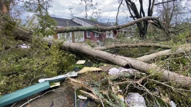 Mehrere Tote durch Hurrikan Laura an der US-Golfküste