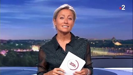 Anne-Sophie Lapix adresse un drôle de message à son confrère Thomas Sotto - France 2
