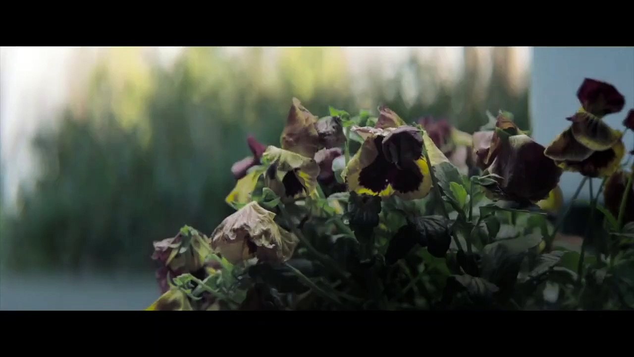 Davetsiz Fragman (The Wretched Fragman )