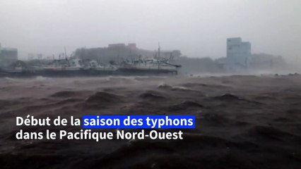 Le typhon Maysak balaie l'île japonaise de Kumejima