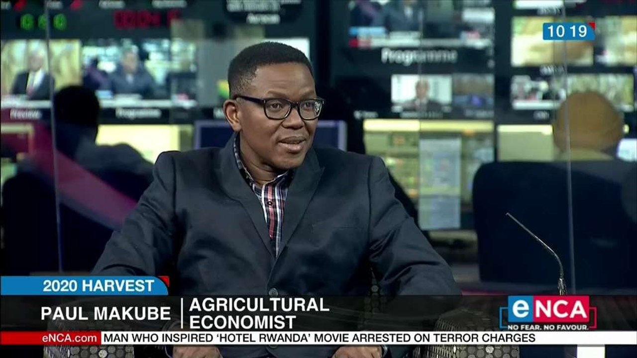 Bumper crop expected